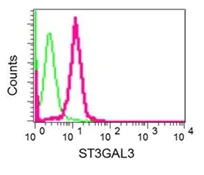Flow Cytometry (Intracellular) - Anti-ST3GAL3 antibody [EPR10006(2)] - BSA and Azide free (AB250029)