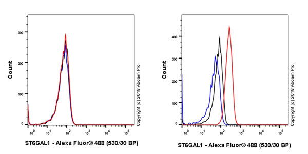 Flow Cytometry (Intracellular) - Anti-ST6GAL1 antibody [EPR22054-238] (AB225793)