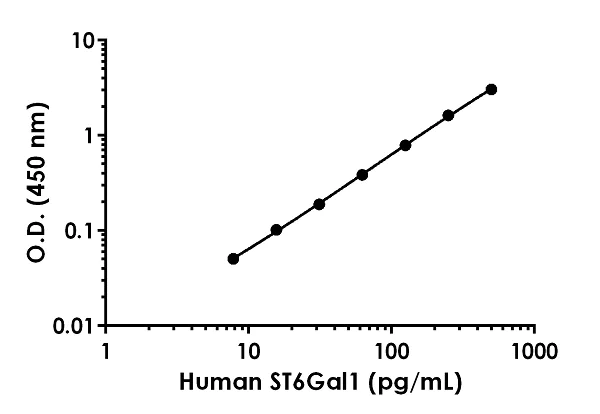 Sandwich ELISA - Anti-ST6GAL1 antibody [EPR22054-287] - BSA and Azide free (AB259499)