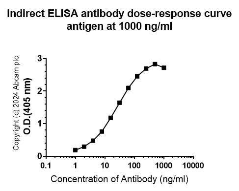 Indirect ELISA - Anti-ST8SiaIII antibody [EPR28521-92] - BSA and Azide free (AB317617)