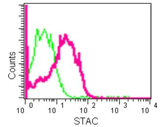 Flow Cytometry (Intracellular) - Anti-STAC antibody [EPR12805] - BSA and Azide free (AB250385)