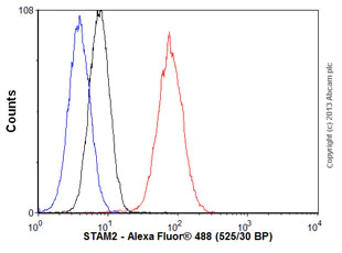 Flow Cytometry (Intracellular) - Anti-STAM2 antibody [EPR8688] (AB151545)