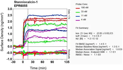OI-RD Scanning - Anti-Stanniocalcin 1/STC antibody [EPR6055] - BSA and Azide free (AB248044)