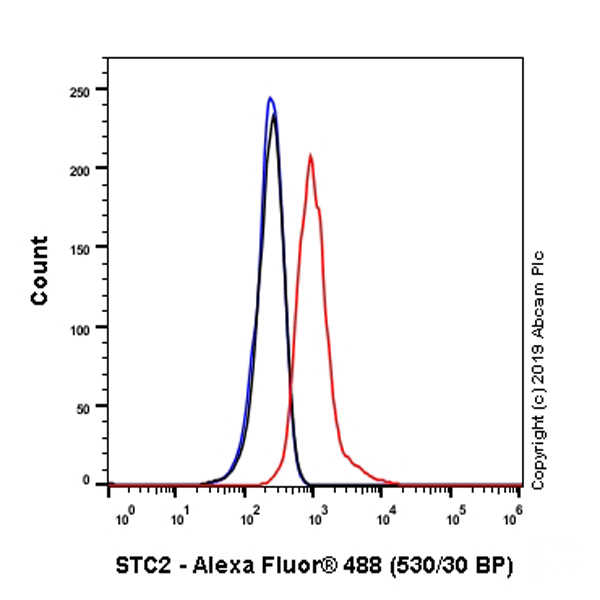Flow Cytometry (Intracellular) - Anti-Stanniocalcin 2/STC-2 antibody [EPR22866-10] (AB255610), expandable thumbnail