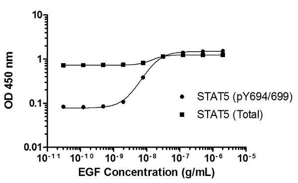 Sandwich ELISA - STAT 5 A/B (pY694/699 + Total) ELISA Kit (AB205715)