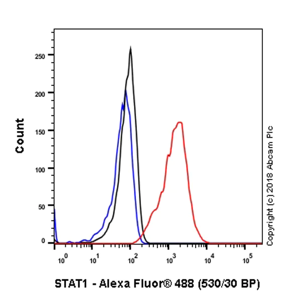Flow Cytometry (Intracellular) - Anti-STAT1 antibody [EPR21057-141] - BSA and Azide free (AB234904)
