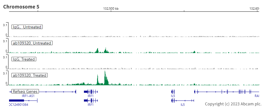 ChIC/CUT&RUN sequencing - Anti-STAT1 antibody [EPR4407] (ab109320), expandable thumbnail