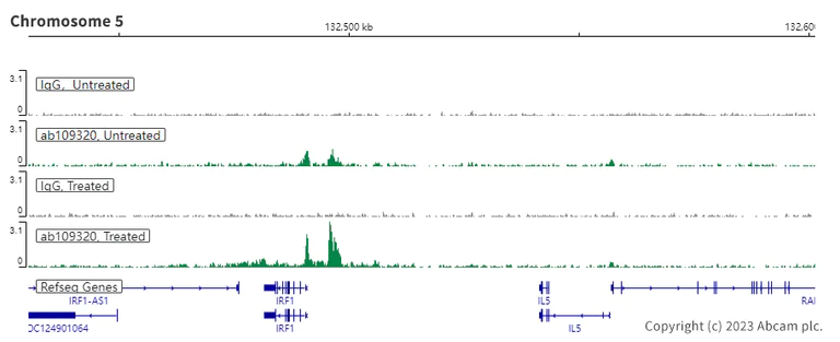 ChIC/CUT&RUN sequencing - Anti-STAT1 antibody [EPR4407] (AB109320)