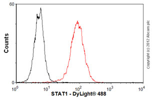 Flow Cytometry - Anti-STAT1 antibody [SM1] (AB3987)