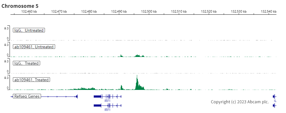 ChIC/CUT&RUN sequencing - Anti-STAT1 (phospho S727) antibody [EPR3146] (ab109461), expandable thumbnail