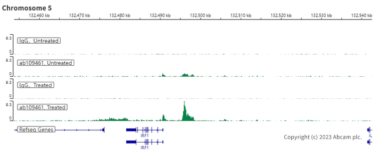 ChIC/CUT&RUN sequencing - Anti-STAT1 (phospho S727) antibody [EPR3146] (AB109461)