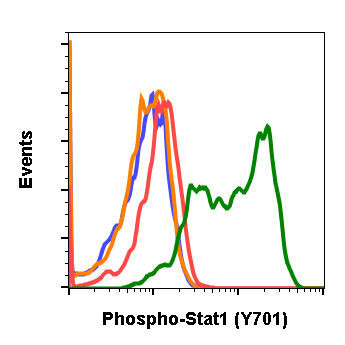 Flow Cytometry - Anti-STAT1 (phospho Y701) antibody [Stat1Y701-3E6] (AB278713), expandable thumbnail
