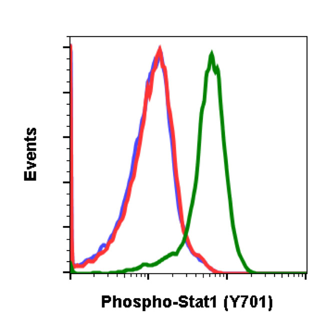 Flow Cytometry - Anti-STAT1 (phospho Y701) antibody [Stat1Y701-3E6] (AB278713), expandable thumbnail