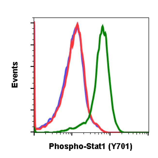 Flow Cytometry - Anti-STAT1 (phospho Y701) antibody [Stat1Y701-3E6] (AB278713)