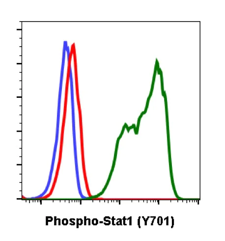 Flow Cytometry - Anti-STAT1 (phospho Y701) antibody [Stat1Y701-3E6] (AB278713)