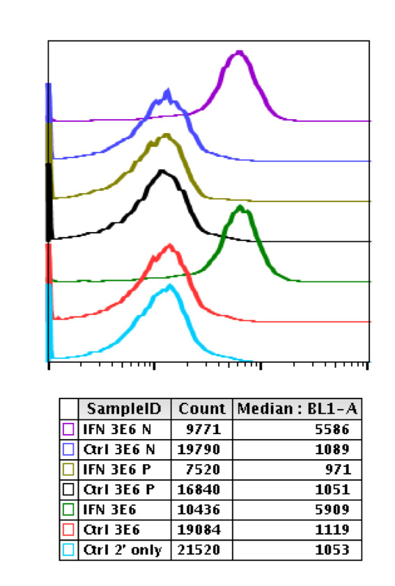Flow Cytometry - Anti-STAT1 (phospho Y701) antibody [Stat1Y701-3E6] (AB278713), expandable thumbnail