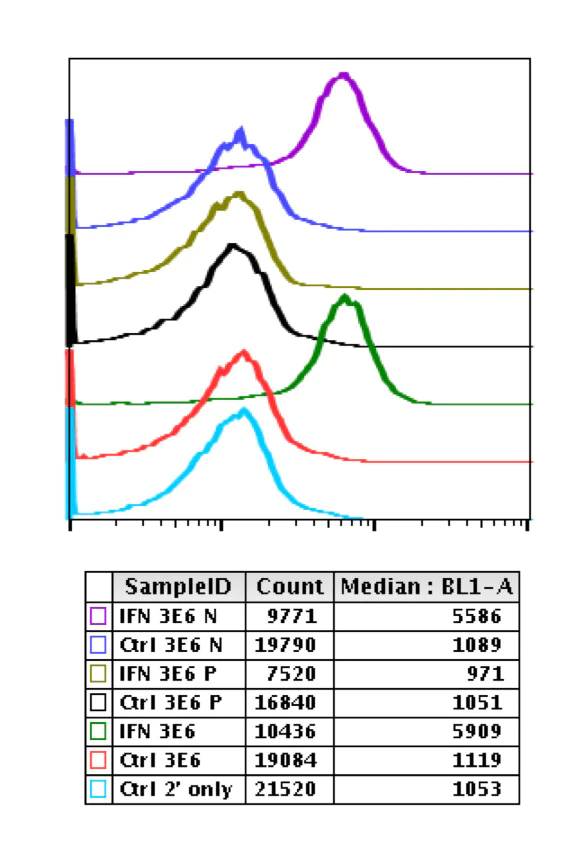 Flow Cytometry - Anti-STAT1 (phospho Y701) antibody [Stat1Y701-3E6] (AB278713)