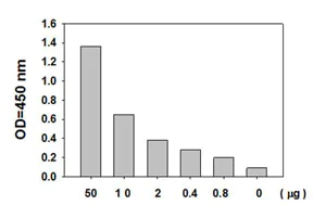 Sandwich ELISA - STAT1 (pS727) ELISA Kit (AB126454)