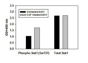 Sandwich ELISA - STAT1 (pS727) ELISA Kit (AB126454)