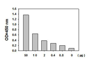 Sandwich ELISA - STAT1 (pS727) + total STAT1 ELISA Kit (AB126455), expandable thumbnail