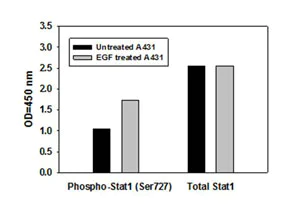 Sandwich ELISA - STAT1 (pS727) + total STAT1 ELISA Kit (AB126455)