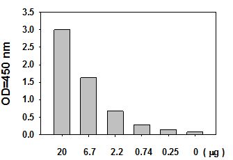 Sandwich ELISA - STAT1 (pY701) ELISA Kit (AB126456), expandable thumbnail