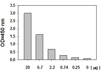 Sandwich ELISA - STAT1 (pY701) ELISA Kit (AB126456)