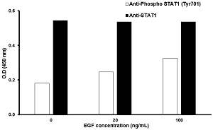 In-Cell ELISA - STAT1 (Tyr701) In-Cell ELISA Kit (AB126426)