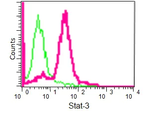 Flow Cytometry (Intracellular) - Anti-STAT3 antibody [EPR787Y] - BSA and Azide free (AB171359)