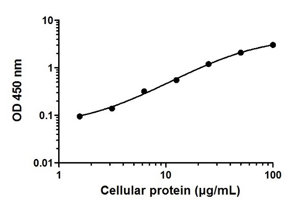 Sandwich ELISA - STAT3 ELISA Kit (AB176655)