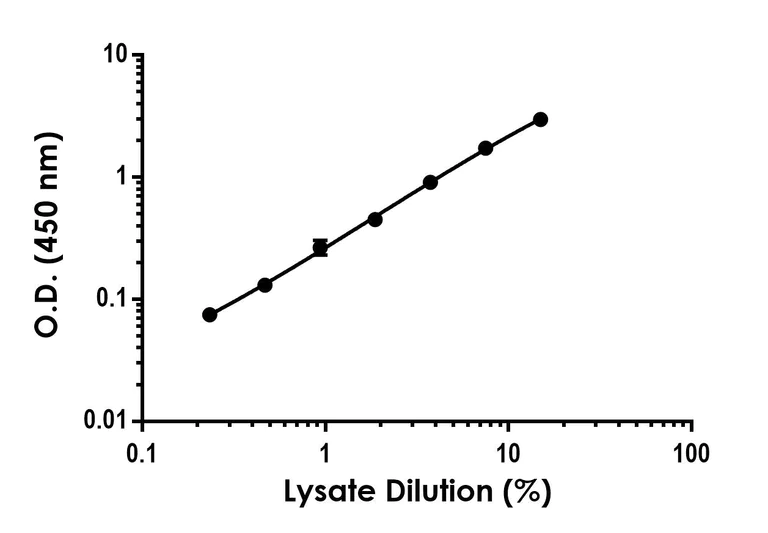 Sandwich ELISA - Anti-STAT3 (phospho Y705) antibody [EPR2147-21] - BSA and Azide free (Detector) (AB285120)