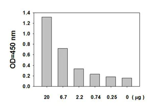 Sandwich ELISA - STAT3 (pY705) ELISA Kit (AB126458)