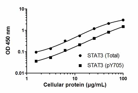 Sandwich ELISA - STAT3 (pY705 + Total) ELISA Kit (AB176666), expandable thumbnail