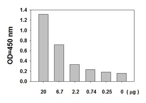 Sandwich ELISA - STAT3 (pY705) + total STAT3 ELISA Kit (AB126459), expandable thumbnail