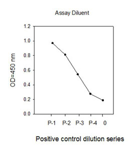 Sandwich ELISA - STAT3 (pY705) + total STAT3 ELISA Kit (AB126459), expandable thumbnail