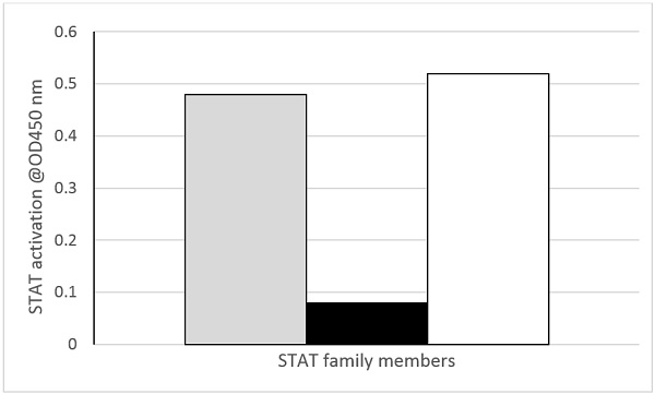 Functional Studies - STAT3 Transcription Factor Assay Kit (Colorimetric) (AB207229), expandable thumbnail