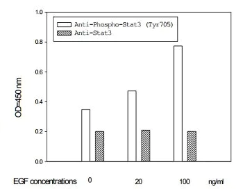 In-Cell ELISA - STAT3 (Tyr705) In-Cell ELISA Kit (AB126427)
