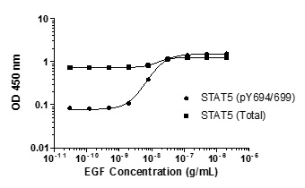 Sandwich ELISA - STAT5 A/B pY694/699 ELISA Kit (AB176656), expandable thumbnail