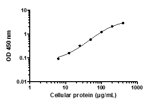 Sandwich ELISA - STAT5 A/B pY694/699 ELISA Kit (AB176656)