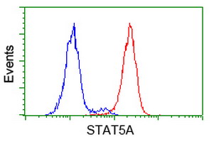 Flow Cytometry (Intracellular) - Anti-STAT5 antibody [9F7] (AB230670), expandable thumbnail