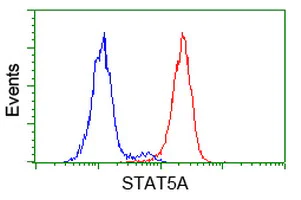 Flow Cytometry (Intracellular) - Anti-STAT5 antibody [9F7] (AB230670)