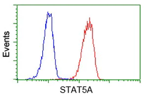 Flow Cytometry (Intracellular) - Anti-STAT5 antibody [9F7] (AB230670)