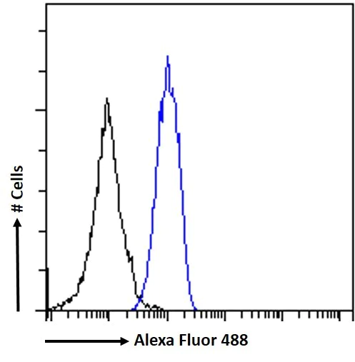 Flow Cytometry - Anti-STAT5a antibody (AB223682)