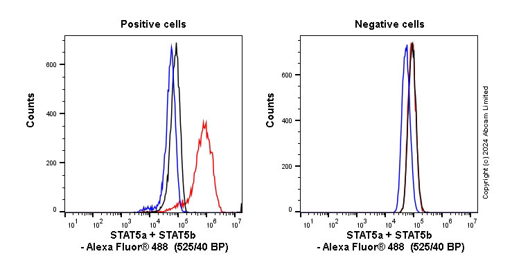 Anti-STAT5a + STAT5b antibody [EPR16671-40]