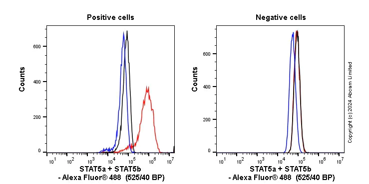 Flow Cytometry (Intracellular) - Anti-STAT5a + STAT5b antibody [EPR16671-40] - BSA and Azide free (AB215367)