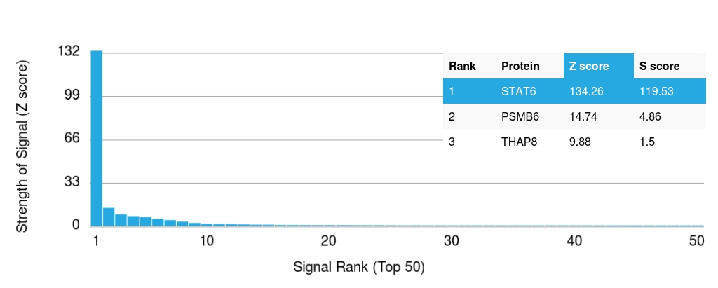 Protein Array - Anti-STAT6 antibody [STAT6/2410] - BSA and Azide free (AB237910), expandable thumbnail