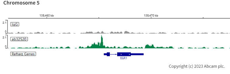 ChIC/CUT&RUN sequencing - Anti-STAT6 antibody [YE361] - BSA and Azide free (ab215995), expandable thumbnail