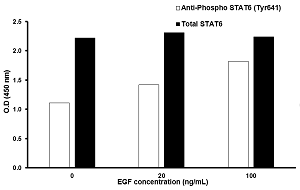 In-Cell ELISA - STAT6 (Tyr641) In-Cell ELISA Kit (AB126430)