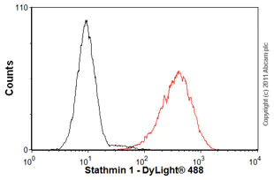 Flow Cytometry (Intracellular) - Anti-Stathmin 1 antibody [EP1573Y] (AB52630)