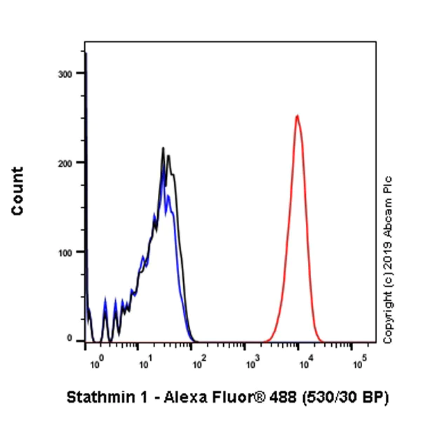 Flow Cytometry (Intracellular) - Anti-Stathmin 1 antibody [EP1573Y] (AB52630)